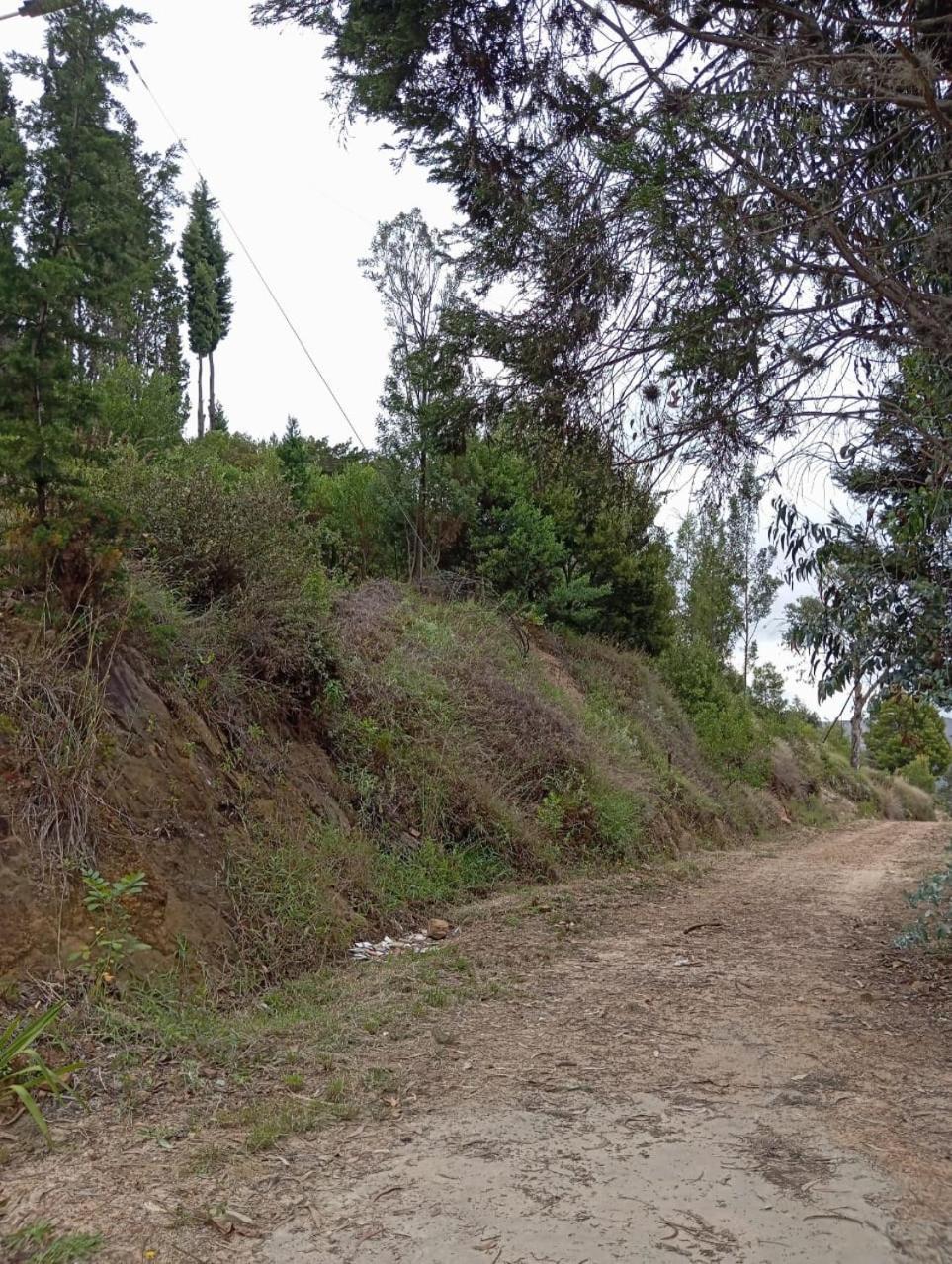 Cueva Del Zorro Country house *